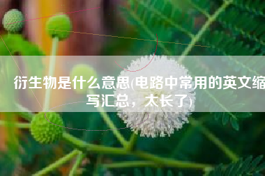 衍生物是什么意思(电路中常用的英文缩写汇总，太长了)