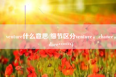 venture什么意思(细节区分venture，chance，dare……)
