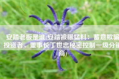 安踏老板是谁(安踏被曝猛料：蓄意欺骗投资者，董事长丁世忠秘密控制一级分销商)