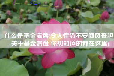 什么是基金清盘(令人惶恐不安闻风丧胆！关于基金清盘 你想知道的都在这里)