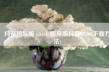 抖音国际版 tiktok(国际版抖音tiktok下载方法)