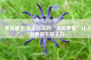 免流量卡(名不符实的“免流套餐”让人消费得不明不白)