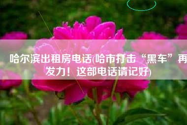 哈尔滨出租房电话(哈市打击“黑车”再发力！这部电话请记好)