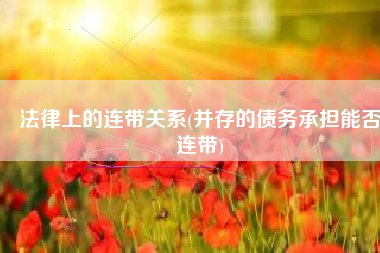 法律上的连带关系(并存的债务承担能否连带)