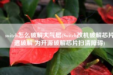 switch怎么破解大气层(Switch改机破解芯片遭破解 为开源破解芯片扫清障碍)