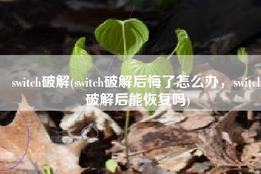 switch破解(switch破解后悔了怎么办，switch破解后能恢复吗)