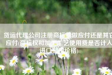 货运代理公司注册商标费做应付还是其它应付(商标权和加工工艺使用费是否计入进口完税价格)