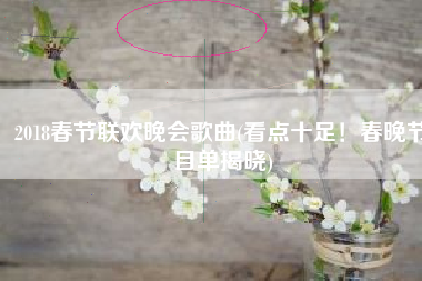 2018春节联欢晚会歌曲(看点十足！春晚节目单揭晓)