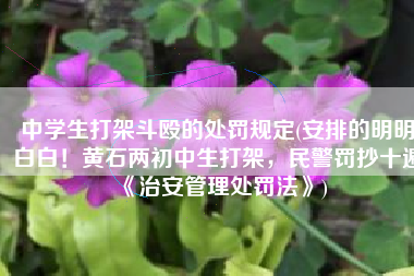 中学生打架斗殴的处罚规定(安排的明明白白！黄石两初中生打架，民警罚抄十遍《治安管理处罚法》)