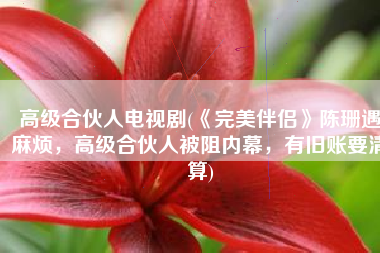 高级合伙人电视剧(《完美伴侣》陈珊遇麻烦，高级合伙人被阻内幕，有旧账要清算)