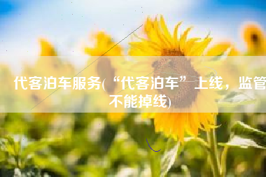 代客泊车服务(“代客泊车”上线，监管不能掉线)