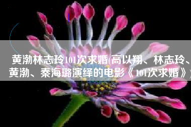 黄渤林志玲101次求婚(高以翔、林志玲、黄渤、秦海璐演绎的电影《101次求婚》)
