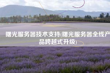 曙光服务器技术支持(曙光服务器全线产品跨越式升级)