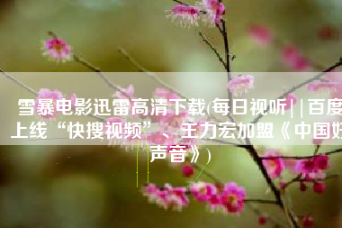 雪暴电影迅雷高清下载(每日视听||百度上线“快搜视频”、王力宏加盟《中国好声音》)