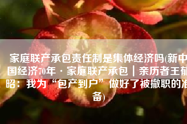 家庭联产承包责任制是集体经济吗(新中国经济70年·家庭联产承包｜亲历者王郁昭：我为“包产到户”做好了被撤职的准备)