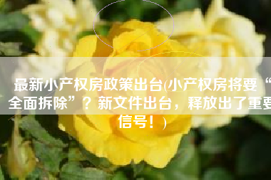 最新小产权房政策出台(小产权房将要“全面拆除”？新文件出台，释放出了重要信号！)