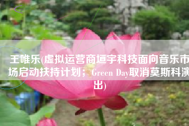 王唯乐(虚拟运营商垣宇科技面向音乐市场启动扶持计划；Green Day取消莫斯科演出)