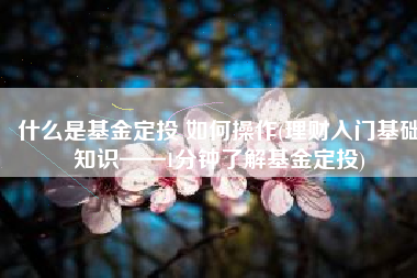 什么是基金定投 如何操作(理财入门基础知识——1分钟了解基金定投)