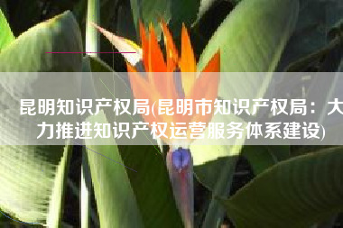 昆明知识产权局(昆明市知识产权局：大力推进知识产权运营服务体系建设)