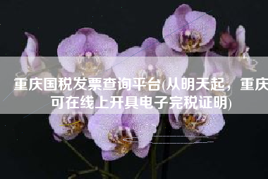 重庆国税发票查询平台(从明天起，重庆可在线上开具电子完税证明)
