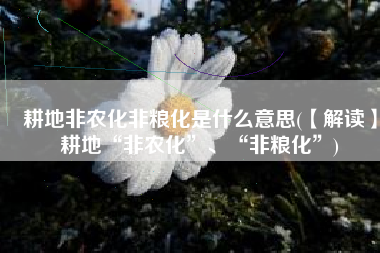 耕地非农化非粮化是什么意思(【解读】耕地“非农化”、“非粮化”)
