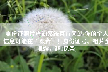 身份证照片查询系统官方网站(你的个人信息可能在“裸奔”！身份证号、相片全泄露，超1亿条)