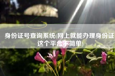 身份证号查询系统(网上就能办理身份证！这个平台不简单)