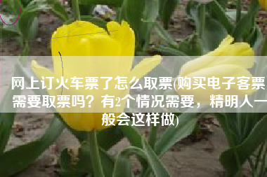 网上订火车票了怎么取票(购买电子客票，需要取票吗？有2个情况需要，精明人一般会这样做)