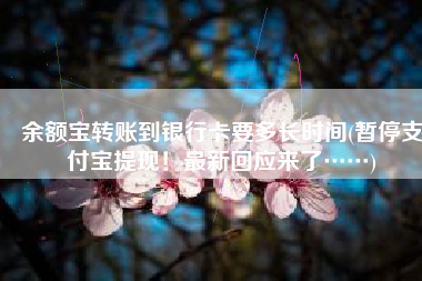 余额宝转账到银行卡要多长时间(暂停支付宝提现！最新回应来了……)