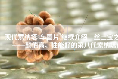 现代索纳塔8车图片(继续介绍屌丝三宝之一——颜值高、性能好的第八代索纳塔)