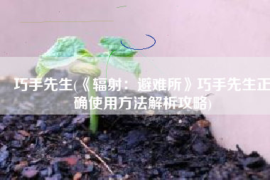 巧手先生(《辐射：避难所》巧手先生正确使用方法解析攻略)