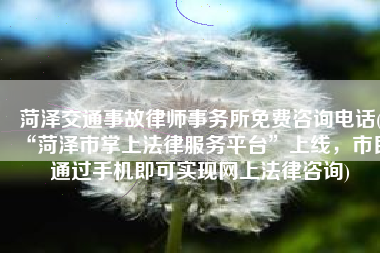 菏泽交通事故律师事务所免费咨询电话(“菏泽市掌上法律服务平台”上线，市民通过手机即可实现网上法律咨询)