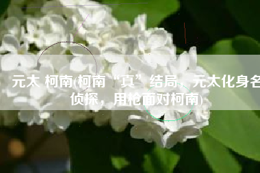 元太 柯南(柯南“真”结局，元太化身名侦探，用枪面对柯南)