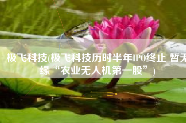 极飞科技(极飞科技历时半年IPO终止 暂无缘“农业无人机第一股”)