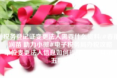 税务登记证变更法人需要什么资料(#春雨润苗 助力小微#电子税务局办税攻略 ▏单位变更法人信息如何操作？（10月第十五期）)