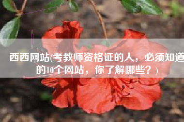 西西网站(考教师资格证的人，必须知道的10个网站，你了解哪些？)