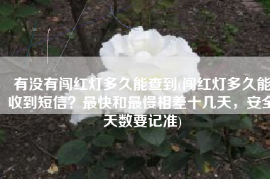 有没有闯红灯多久能查到(闯红灯多久能收到短信？最快和最慢相差十几天，安全天数要记准)