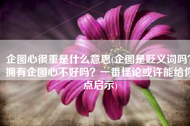 企图心很重是什么意思(企图是贬义词吗？拥有企图心不好吗？一番怪论或许能给你点启示)