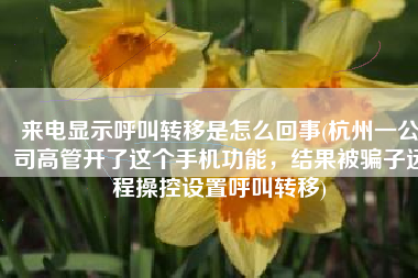 来电显示呼叫转移是怎么回事(杭州一公司高管开了这个手机功能，结果被骗子远程操控设置呼叫转移)