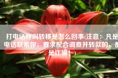 打电话呼叫转移是怎么回事(注意：凡是电话联系你，要求配合调查并转款的，都是诈骗！)