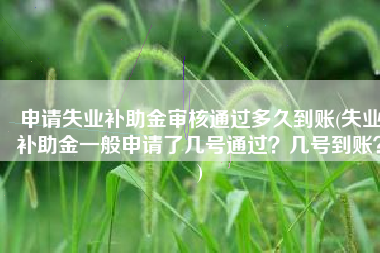 申请失业补助金审核通过多久到账(失业补助金一般申请了几号通过？几号到账？)