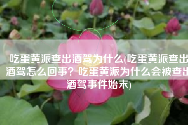 吃蛋黄派查出酒驾为什么(吃蛋黄派查出酒驾怎么回事？吃蛋黄派为什么会被查出酒驾事件始末)