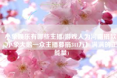 小象娱乐有哪些主播(游戏人为河南捐款，小象大鹅一众主播募捐341万！满满的正能量)