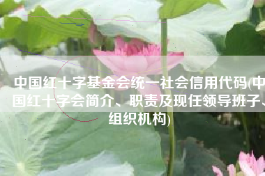 中国红十字基金会统一社会信用代码(中国红十字会简介、职责及现任领导班子、组织机构)