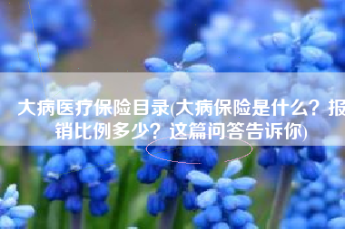 大病医疗保险目录(大病保险是什么？报销比例多少？这篇问答告诉你)