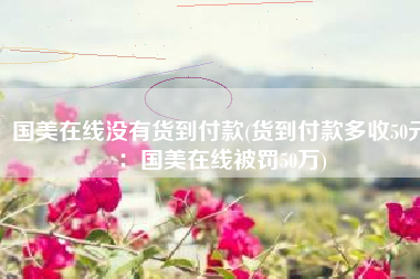 国美在线没有货到付款(货到付款多收50元：国美在线被罚50万)