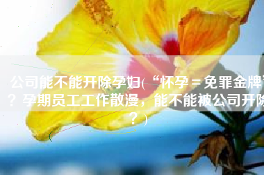 公司能不能开除孕妇(“怀孕＝免罪金牌”？孕期员工工作散漫，能不能被公司开除？)