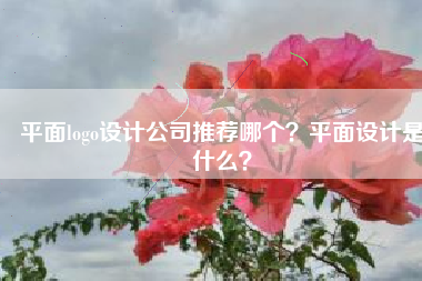 平面logo设计公司推荐哪个？平面设计是什么？