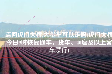 请问虎门大桥,大货车可以走吗(虎门大桥今日9时恢复通车，货车、40座及以上客车禁行)