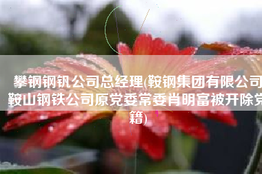 攀钢钢钒公司总经理(鞍钢集团有限公司鞍山钢铁公司原党委常委肖明富被开除党籍)